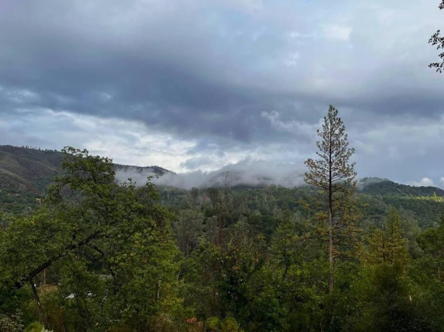 فيلا Yosemite'S Scenic Hideaway ميدباينس المظهر الخارجي الصورة